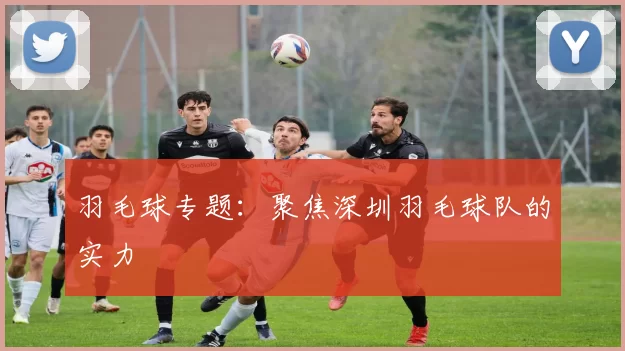 羽毛球专题：聚焦深圳羽毛球队的实力