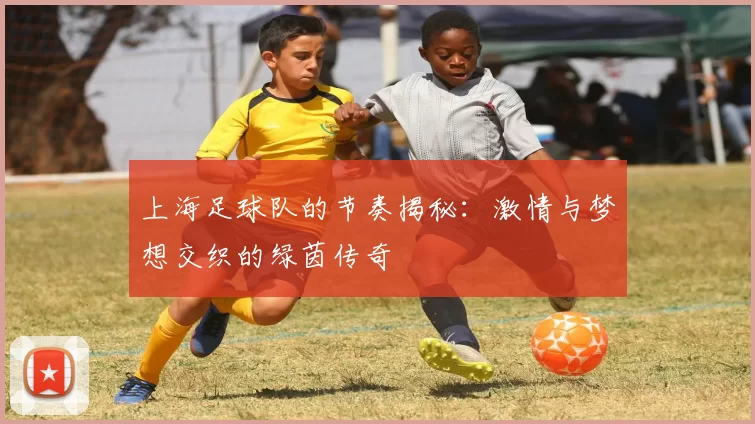 上海足球队的节奏揭秘：激情与梦想交织的绿茵传奇