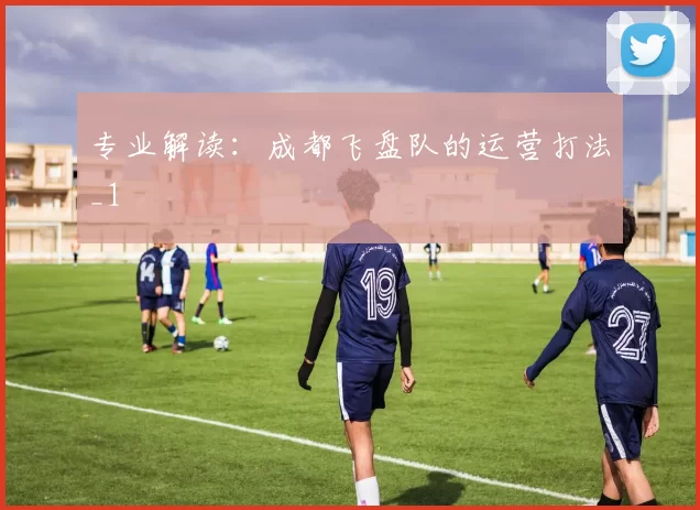 专业解读：成都飞盘队的运营打法_1