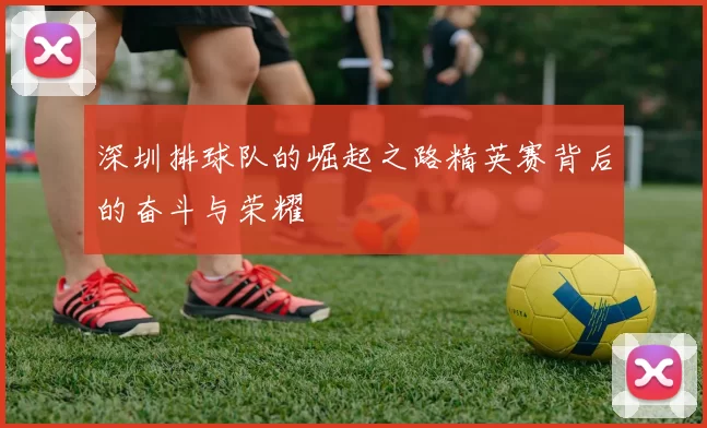 深圳排球队的崛起之路精英赛背后的奋斗与荣耀
