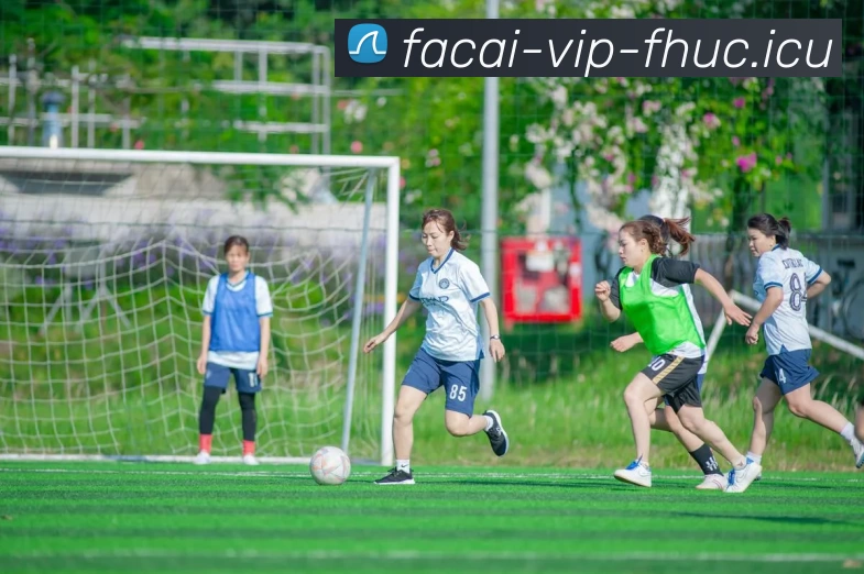 华体会体育APP 封面图